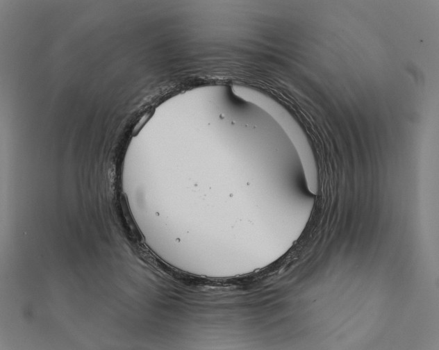X0000111420556200908101058