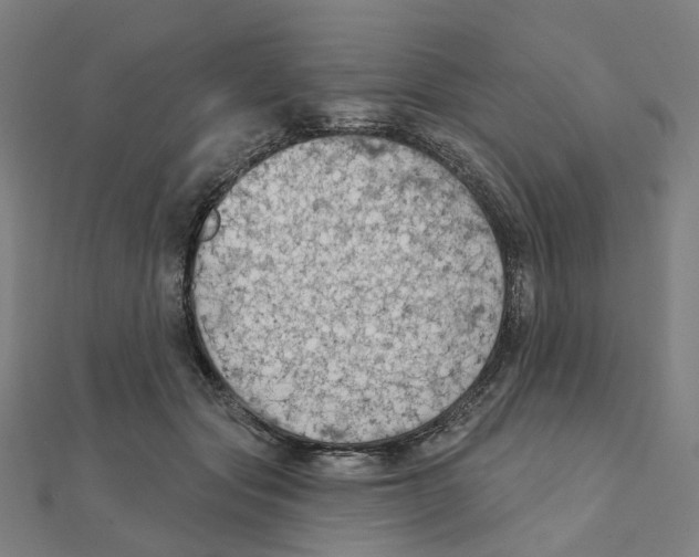 X0000111420557200908101058