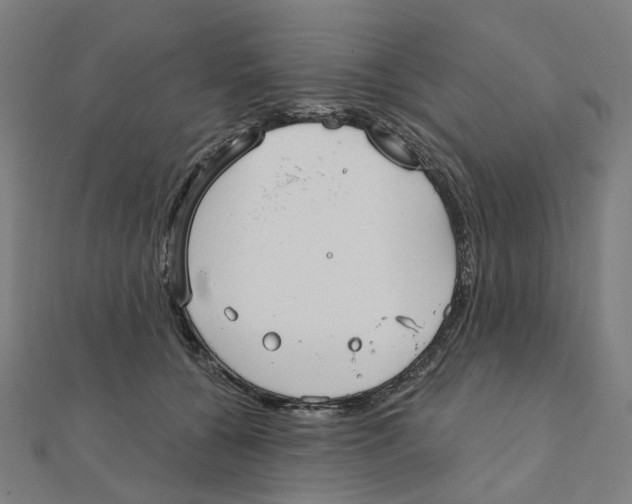 X0000111420560200908101058