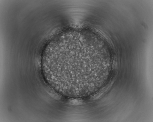 X0000111420561200908101058