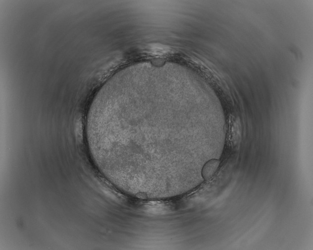 X0000111420562200908101058