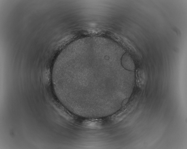 X0000111420563200908101058