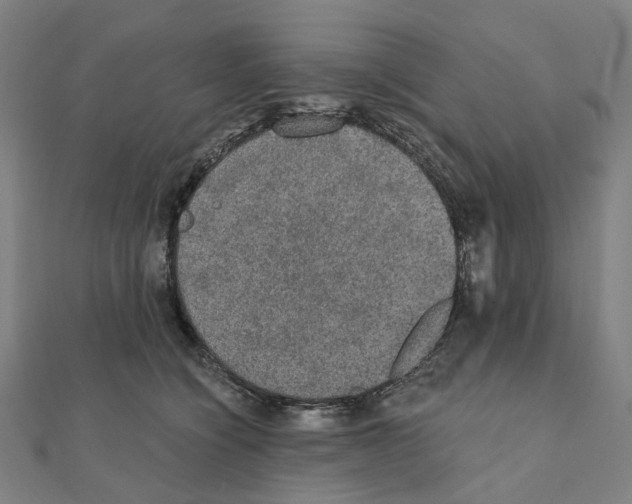 X0000111420564200908101058