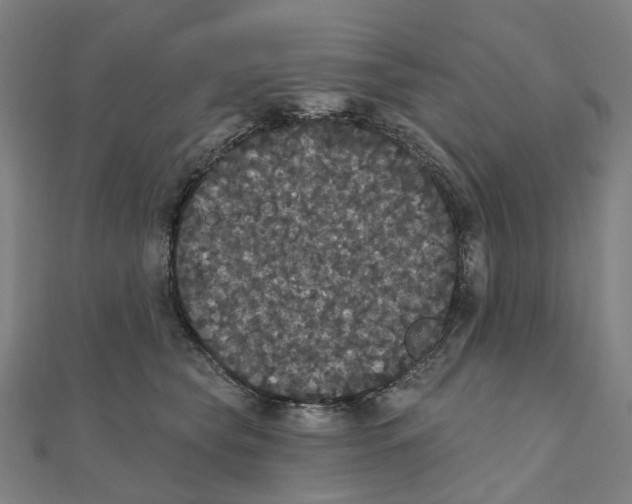 X0000111420565200908101058