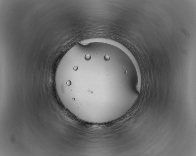 X0000111420566200908101058