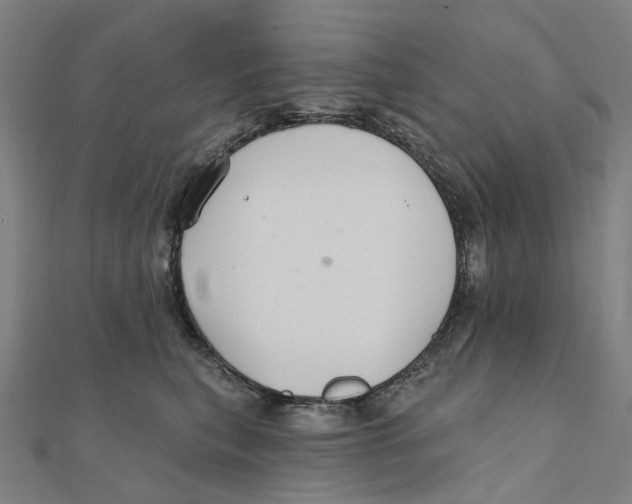 X0000111420567200908101058