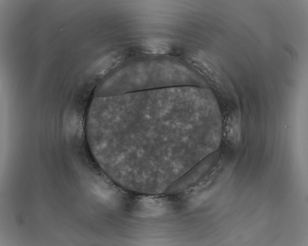 X0000111420568200908101058