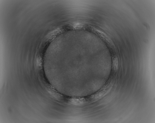 X0000111420571200908101058
