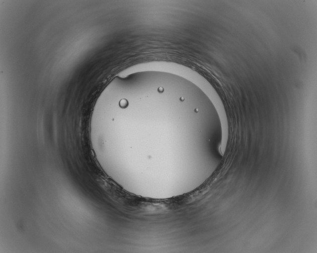 X0000111420572200908101058