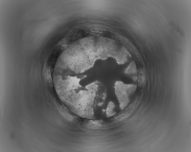 X0000111420573200908101058