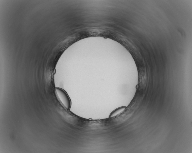 X0000111420574200908101058
