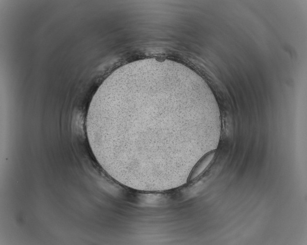 X0000111420575200908101058
