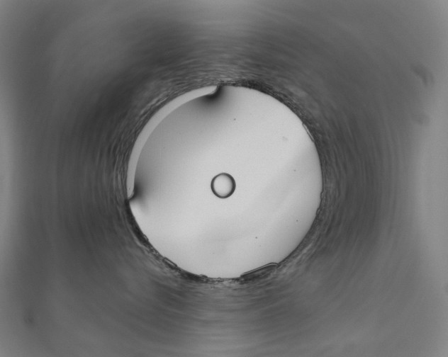 X0000111420576200908101058