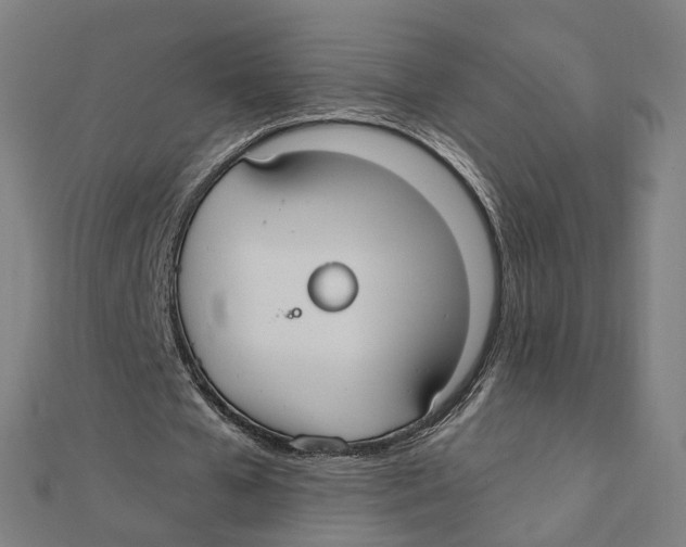 X0000111420577200908101058
