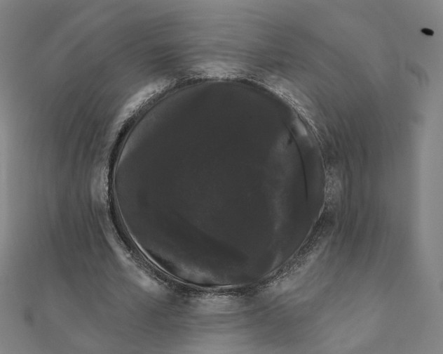X0000111420581200908101058