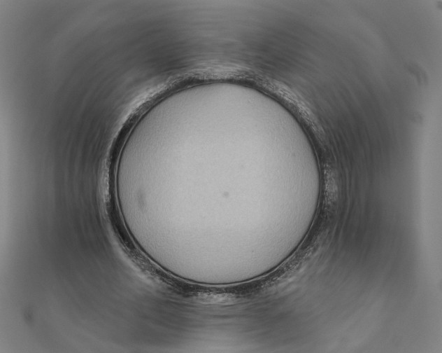 X0000111420582200908101058