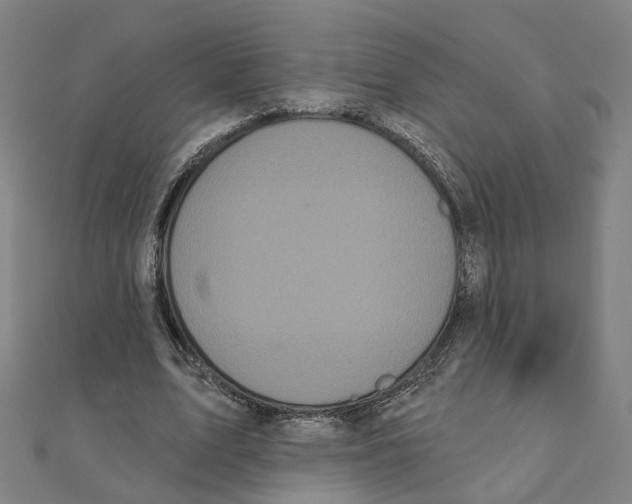 X0000111420583200908101058