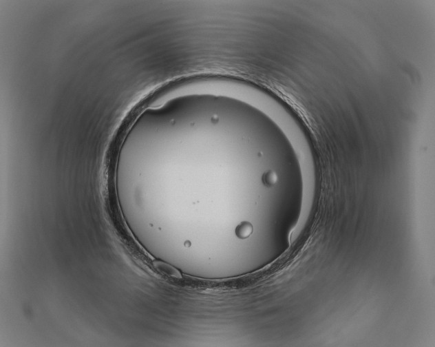 X0000111420584200908101057