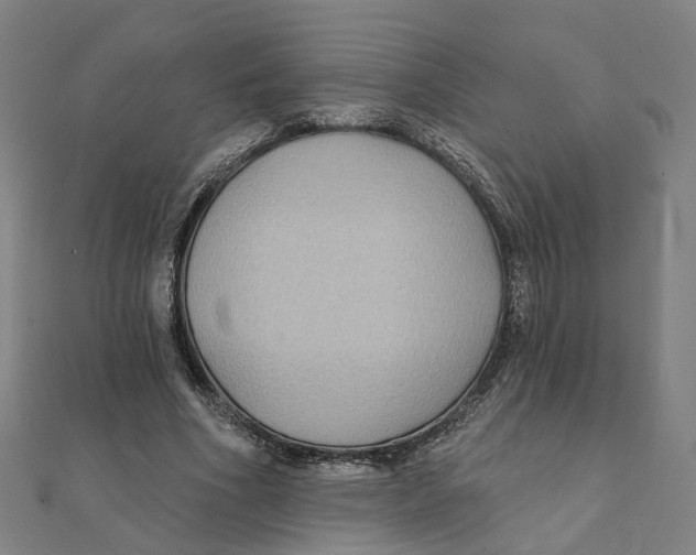X0000111420586200908101057