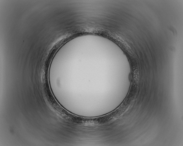 X0000111420587200908101057
