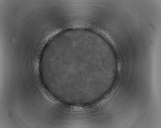 X0000111420588200908101057
