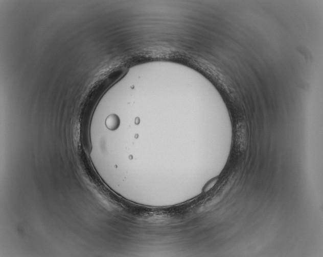 X0000111420589200908101057