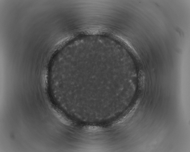 X0000111420590200908101057