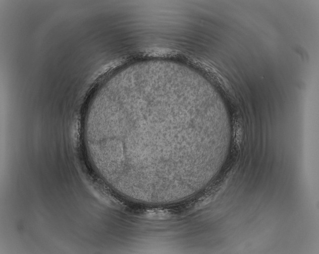 X0000111420591200908101057