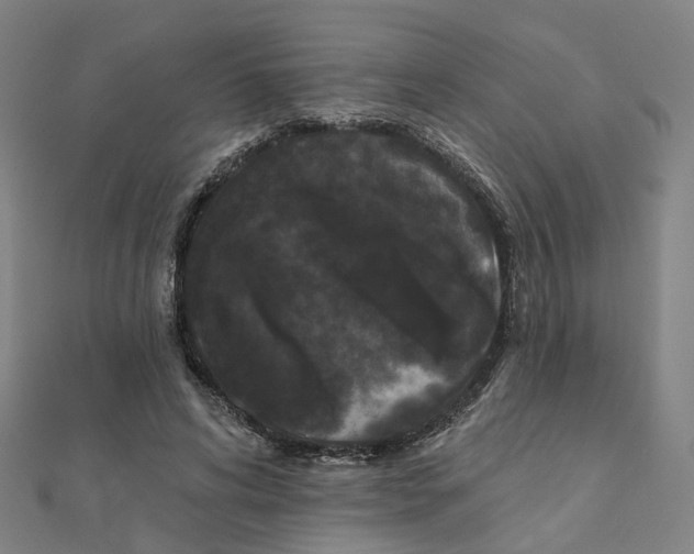 X0000111420592200908101057