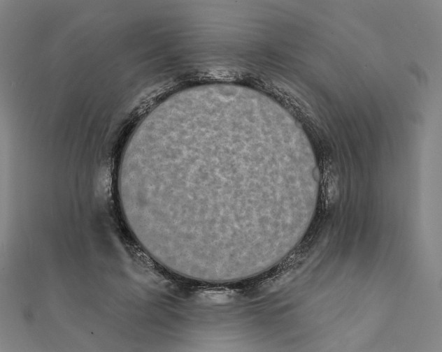 X0000111420595200908101057