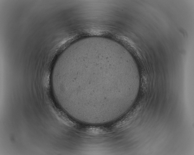 X0000111420596200908101057