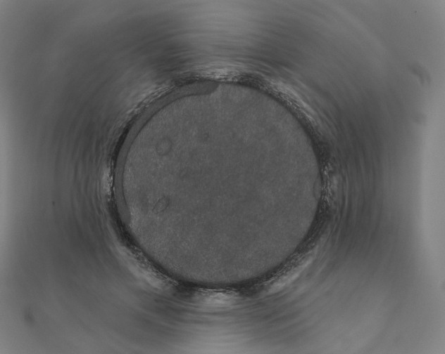 X0000111420597200908101057