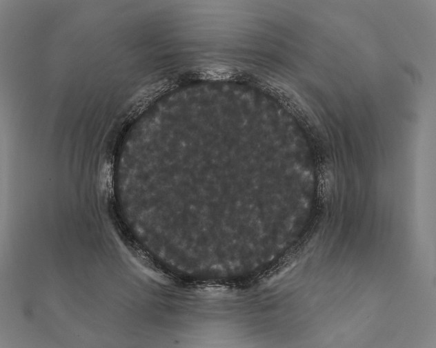 X0000111420598200908101057