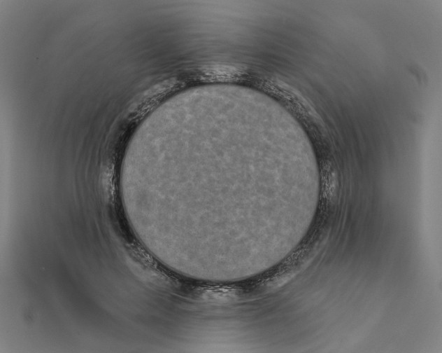 X0000111420599200908101057