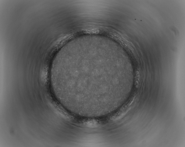 X0000111420600200908101057