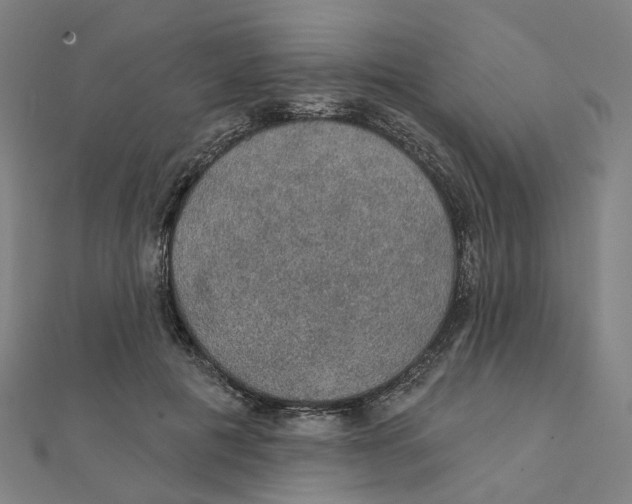 X0000111420601200908101057