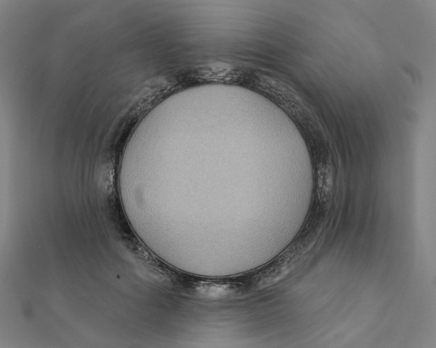 X0000111420602200908101057