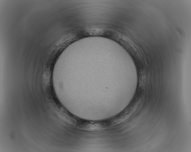 X0000111420604200908101057