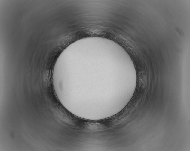 X0000111420605200908101057