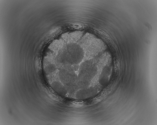 X0000111420606200908101057