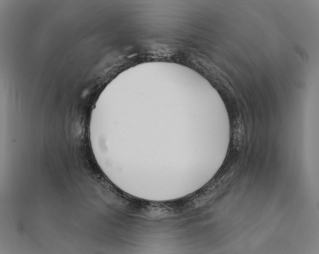 X0000111420608200908101057