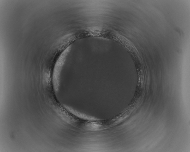 X0000111420610200908101057