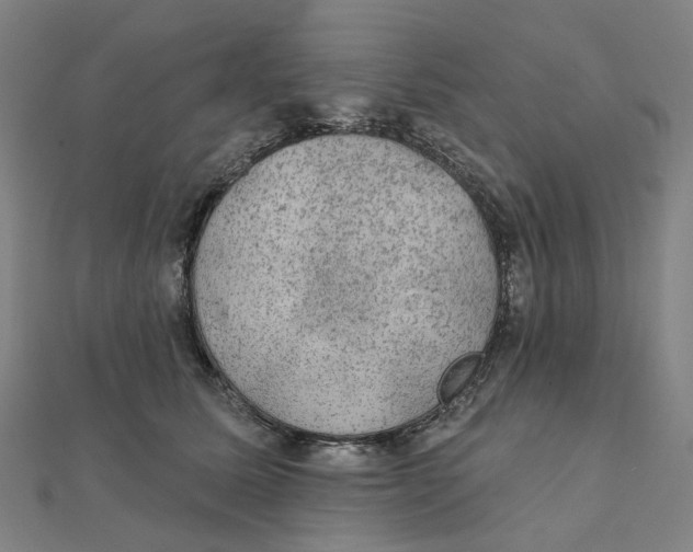 X0000111420611200908101057