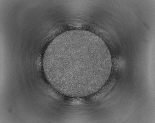 X0000111420612200908101057
