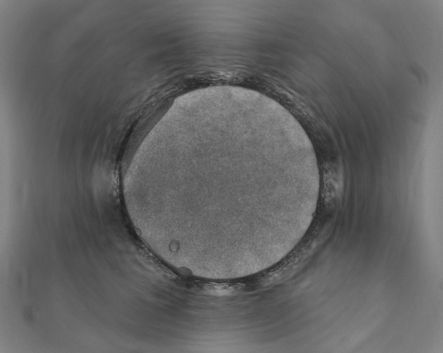 X0000111420613200908101057