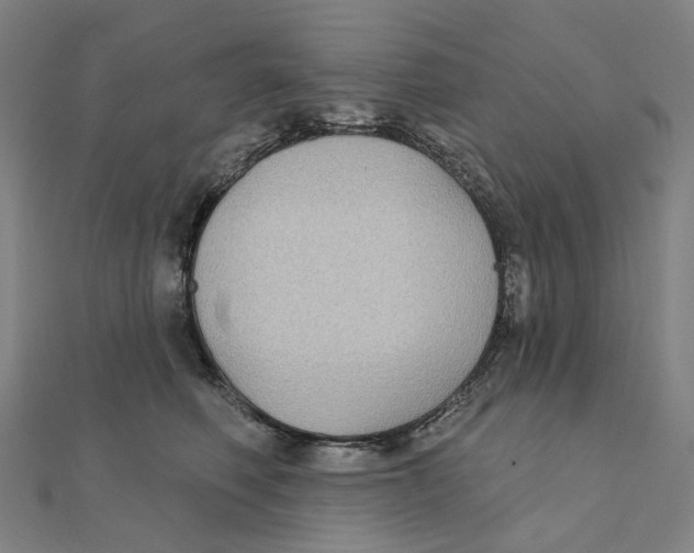 X0000111420614200908101057