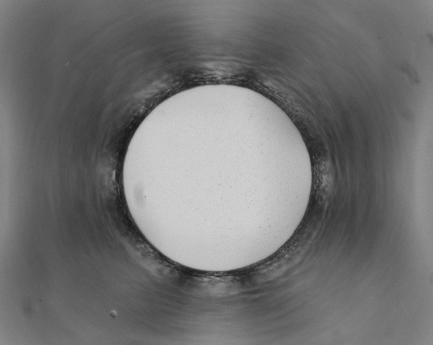 X0000111420615200908101057