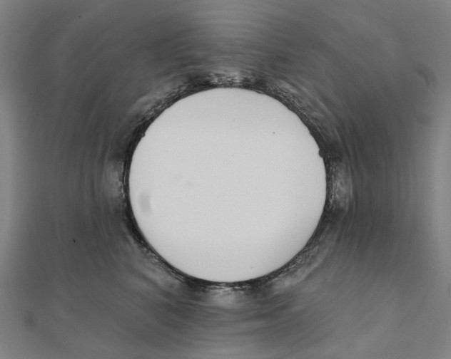 X0000111420616200908101057