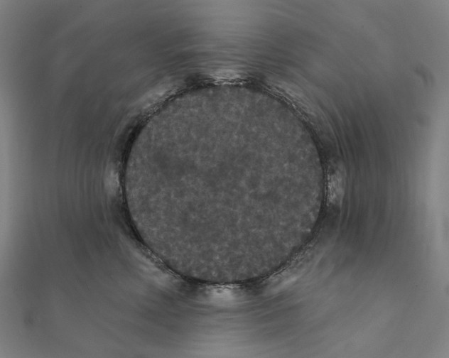 X0000111420618200908101057