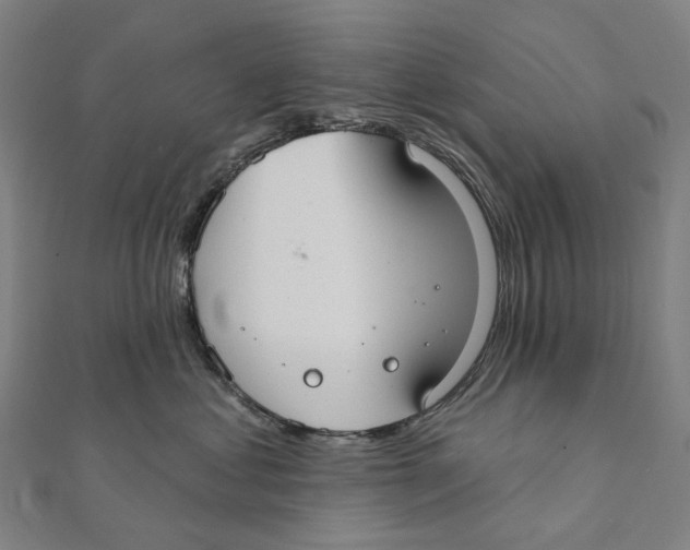 X0000111420621200908101057
